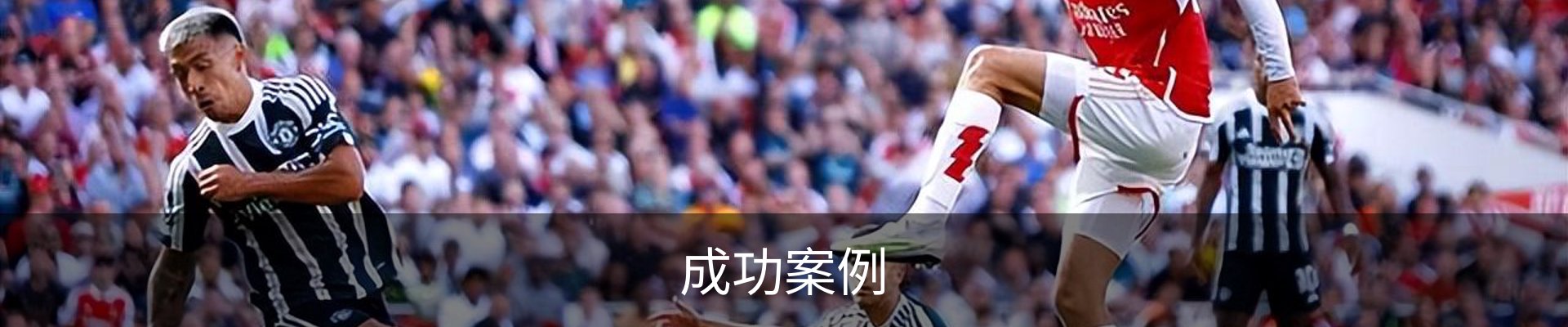 成功案例